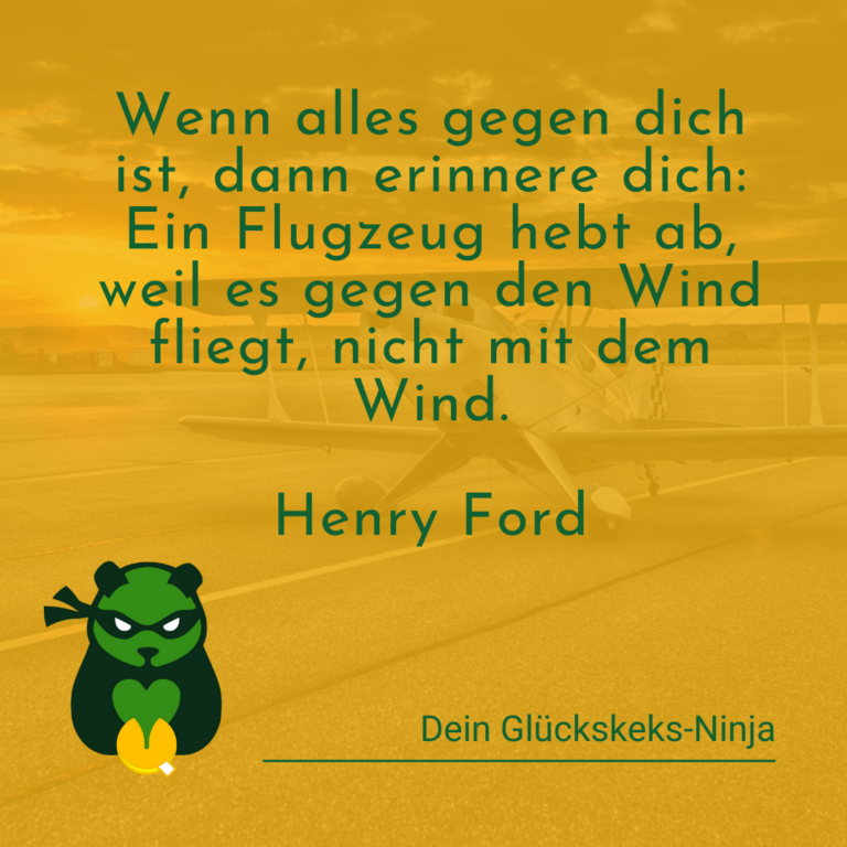 Flugzeuge fliegen gegen den Wind nicht mit ihm.