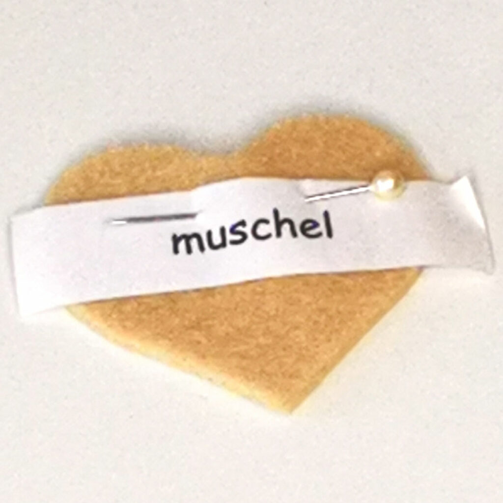 Glückskekse in muschel