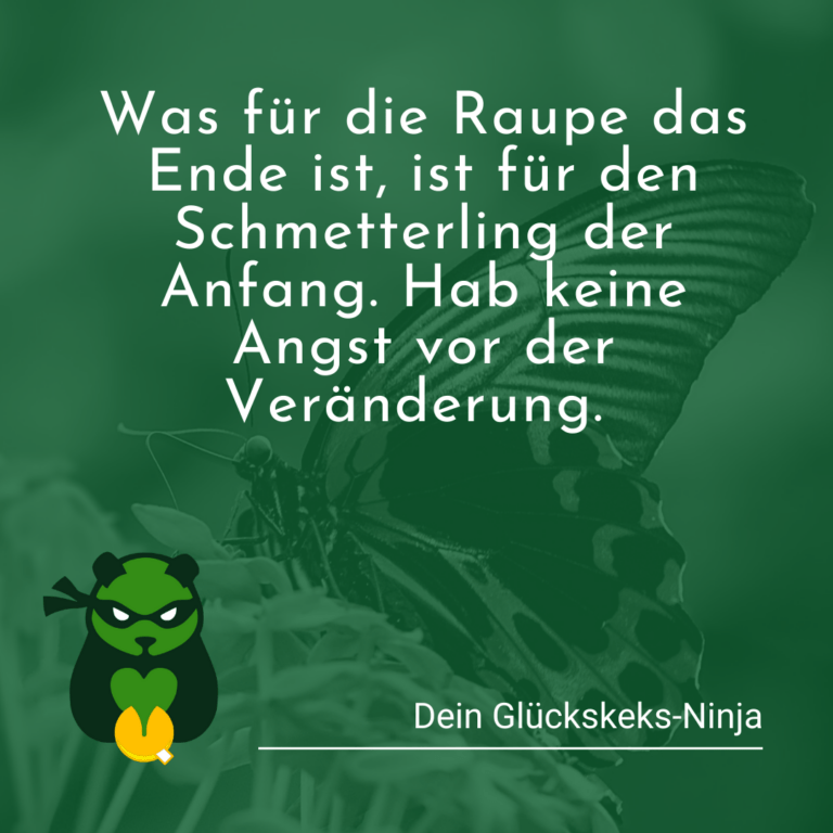Veränderungen sind nötig, wie die Raupe sich verpuppen muss, wenn sie ein Schmetterling werden will.