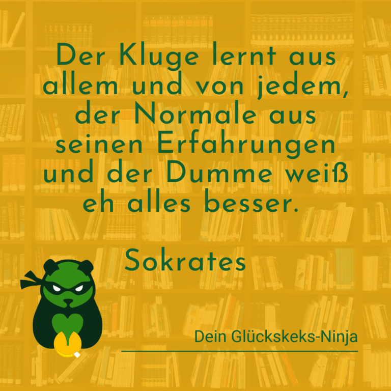 Der Kluge lernt aus allem und von jedem, der Normale aus seinen Erfahrungen und der Dumme weiß eh alles besser.